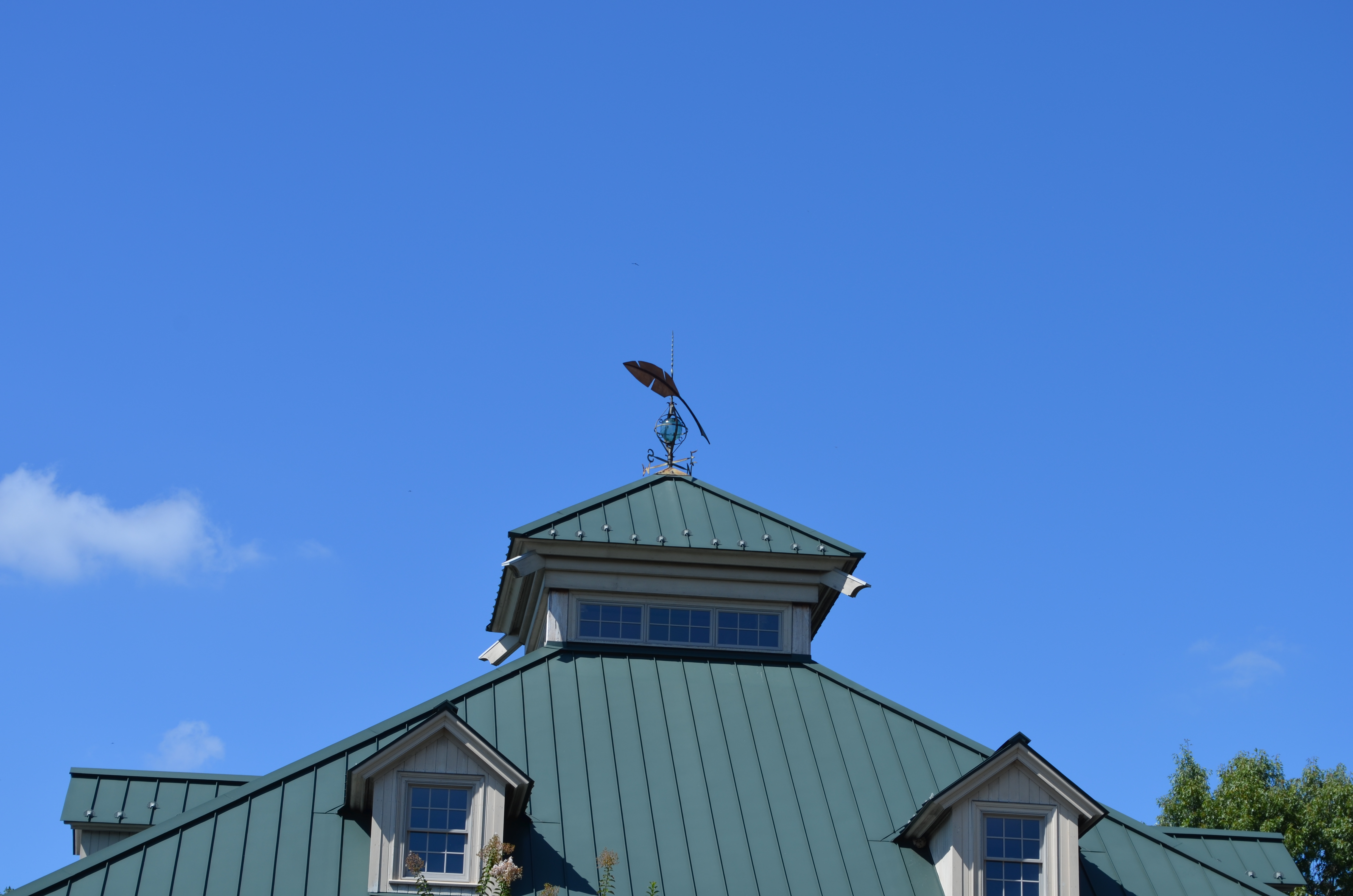 ./2013/Lexington NC/DSC_3044.JPG